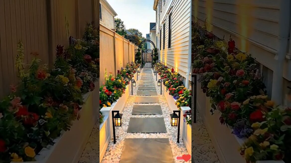 Small Backyard Turned Into a Beautiful Garden ๐ฟ 4K Transformation #viral #homegarden #backyard Small Backyard Turned Into a Beautiful Garden ๐ฟ 4K Transformation #viral #homegarden #backyard
