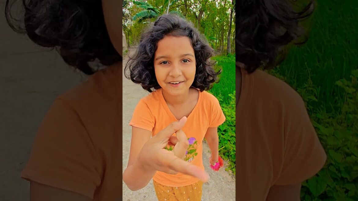 Viral Tranding Song #garden #gardening #flowers #nursery #UpdateGardening #chadbagan Viral Tranding Song #garden #gardening #flowers #nursery #UpdateGardening #chadbagan