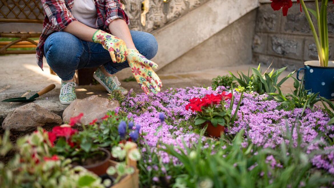 Gardener lists 3 important tasks to do this April for ‘fantastic’ plants and growth Devon Live