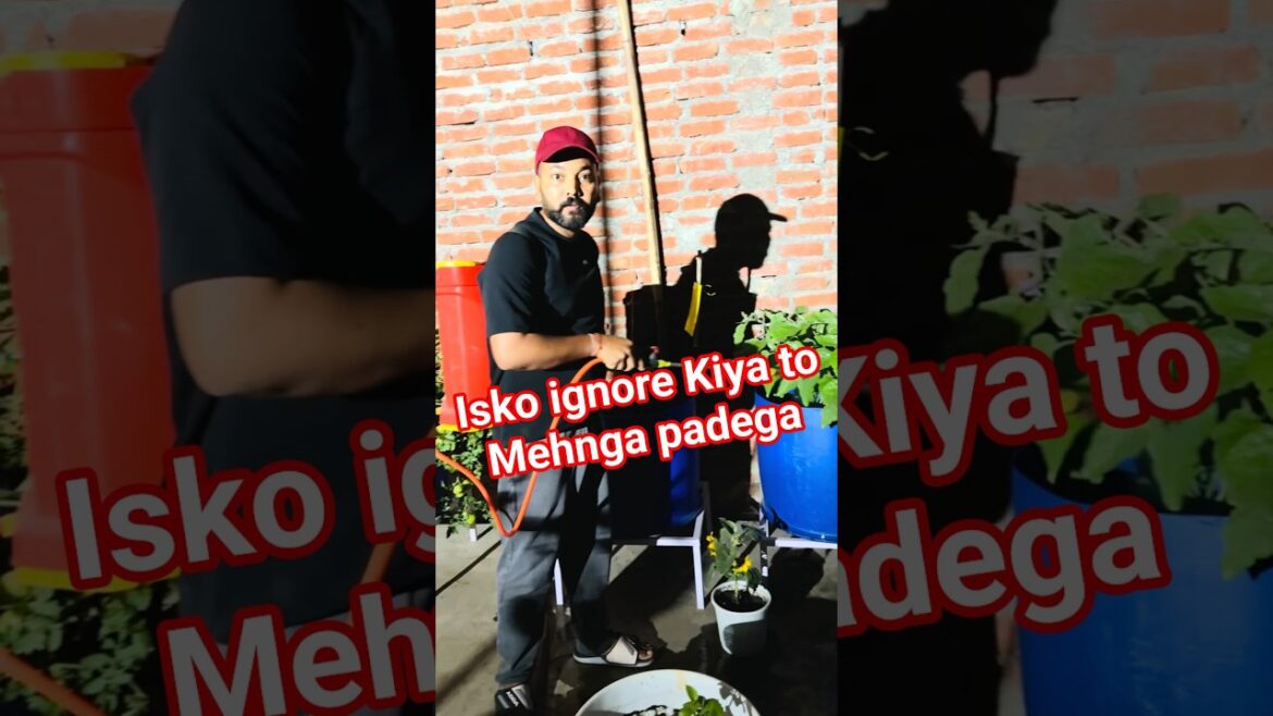 Isko bhool gye ? #gardening #gardningtips