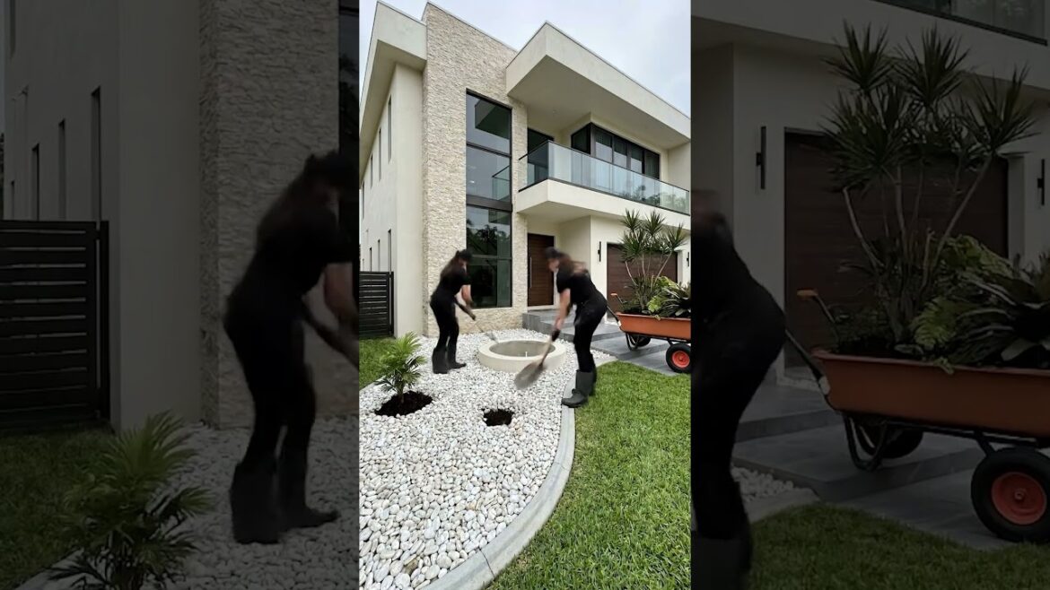 Modern Front Yard Transformed with Curved Landscape and Center Planter Modern Front Yard Transformed with Curved Landscape and Center Planter