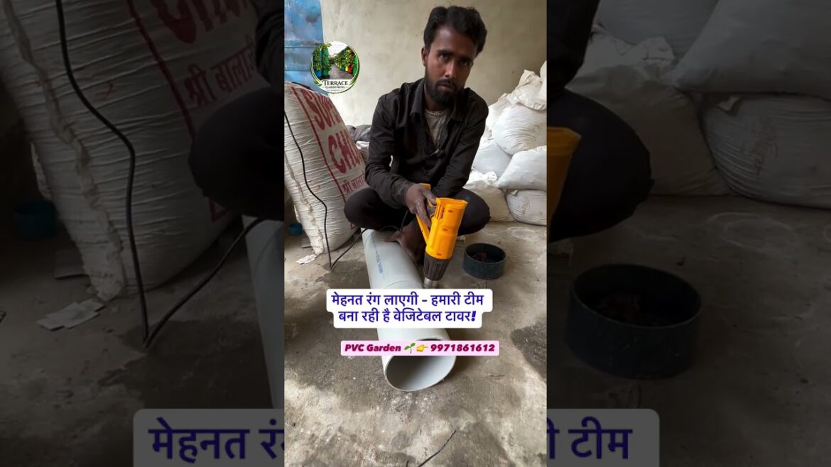 PVC Garden में पूरी टीम लगी है वेजिटेबल टावर बनाने में! PVC Garden में पूरी टीम लगी है वेजिटेबल टावर बनाने में!