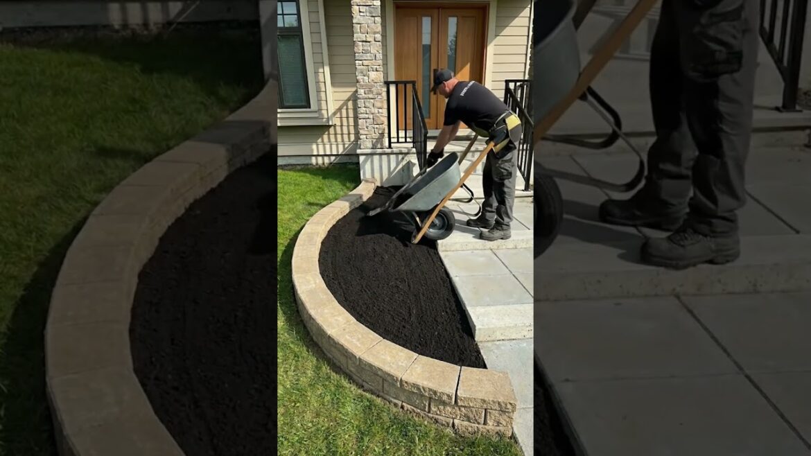 From Dirt to Beautiful Flower Garden 🌸 | Satisfying Landscaping Transformation From Dirt to Beautiful Flower Garden 🌸 | Satisfying Landscaping Transformation