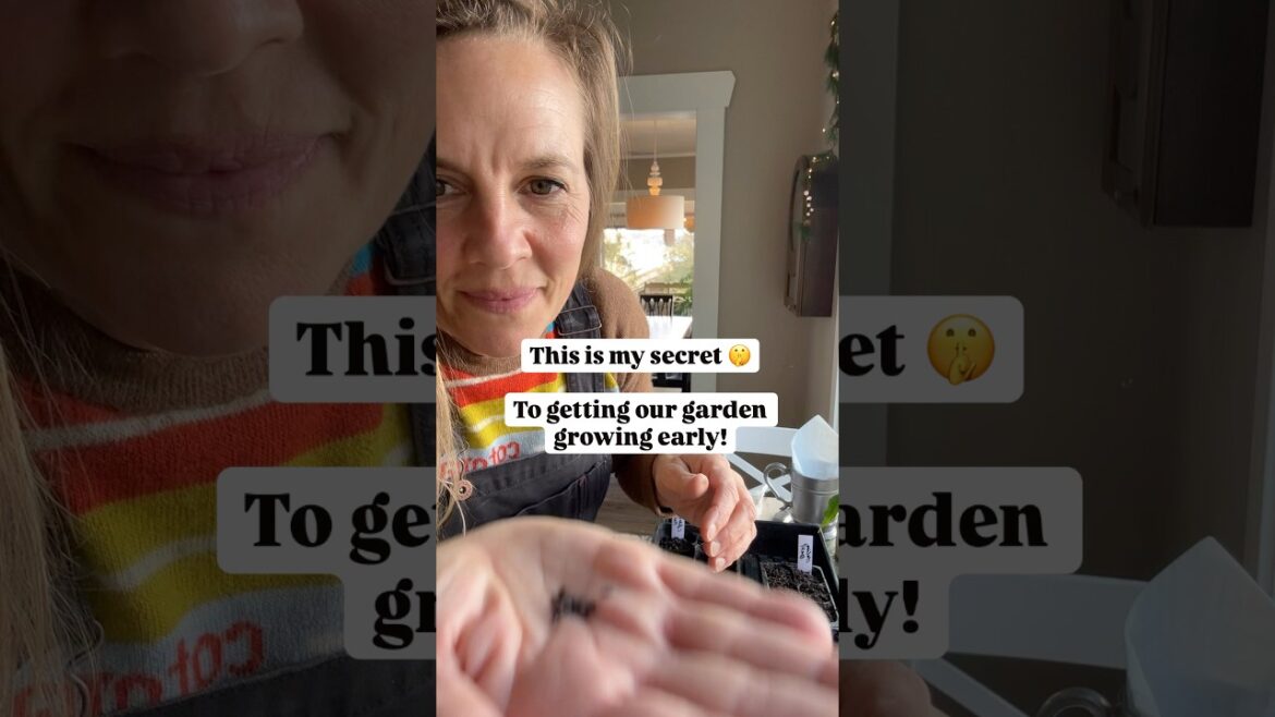 Do this TODAY for the Best Garden This Summer Seed Starting Tips #garden #seedstarting