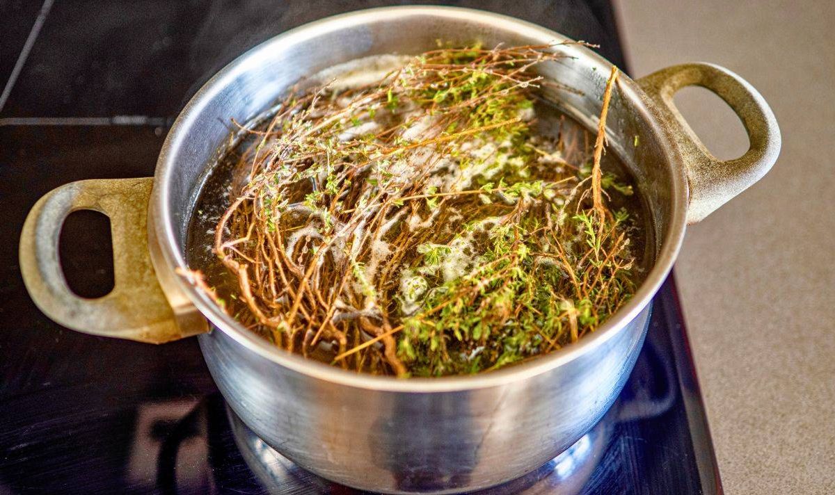 Picture of someone boiling herbs in a pot