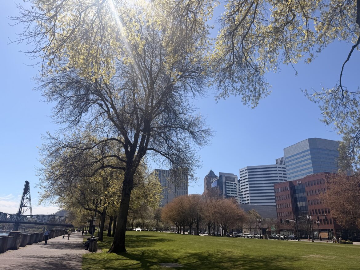 Does tree pollen biologically trigger other species of plants to bloom? Does tree pollen biologically trigger other species of plants to bloom?