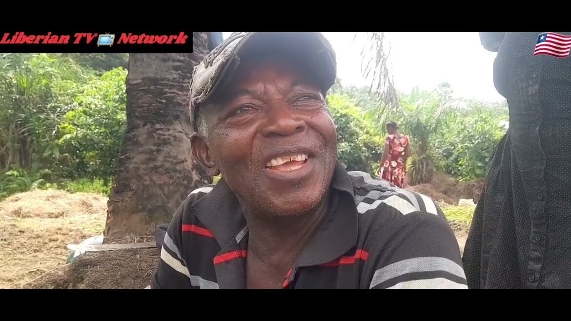 The Untold Story of Liberia’s Backyard Garden Movement-2026 The Untold Story of Liberia’s Backyard Garden Movement-2026