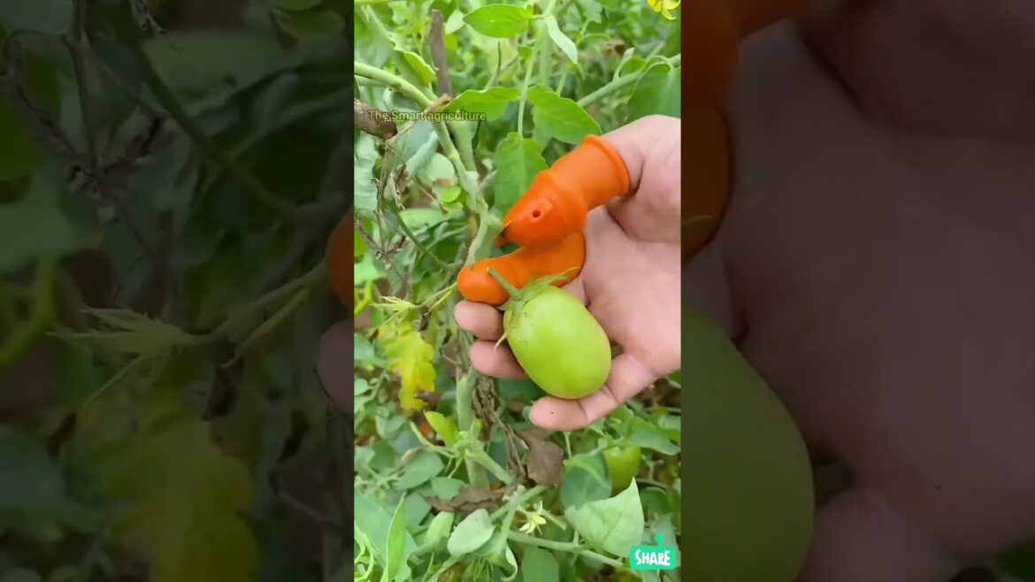 essential gardening tools for beginners and their uses|gartengeräte|gardening tools