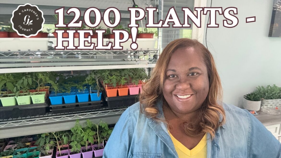 My Garden Plan for 1200 PLANTS| Summer Garden My Garden Plan for 1200 PLANTS| Summer Garden