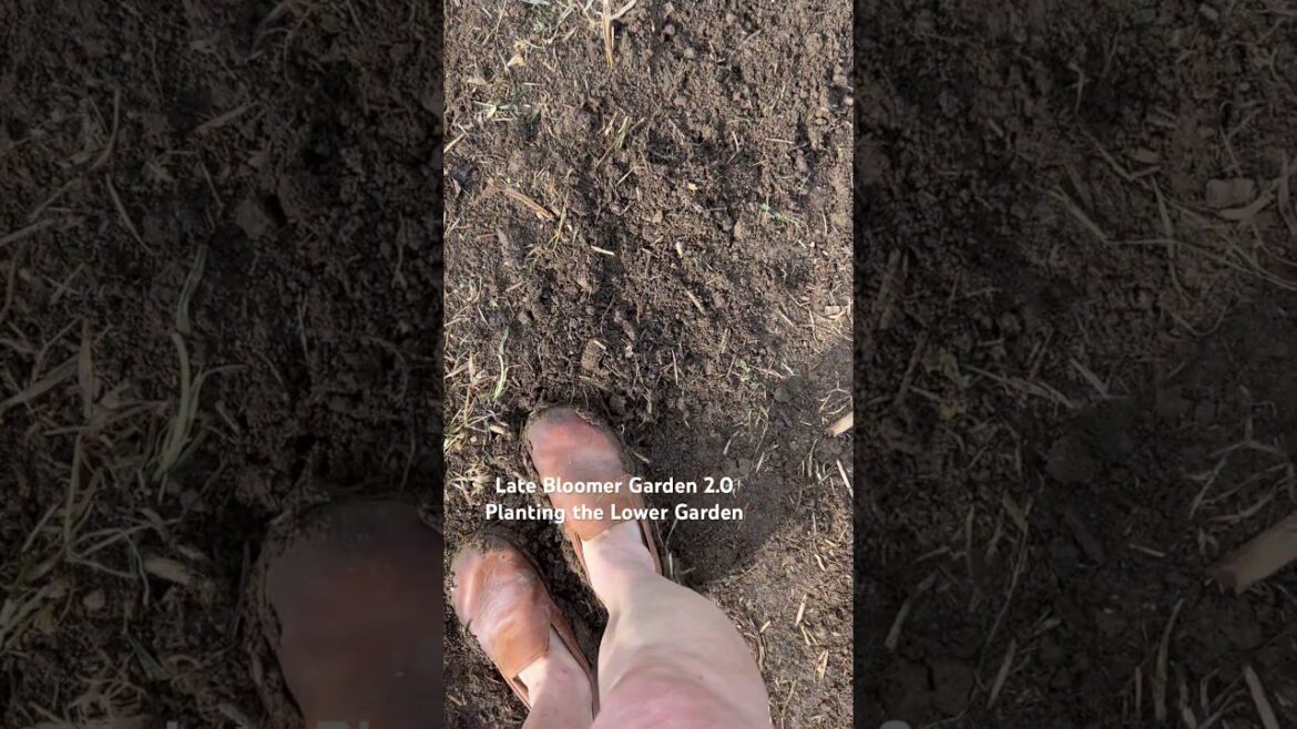 Grounding while planting 🌱 #garden #grounding