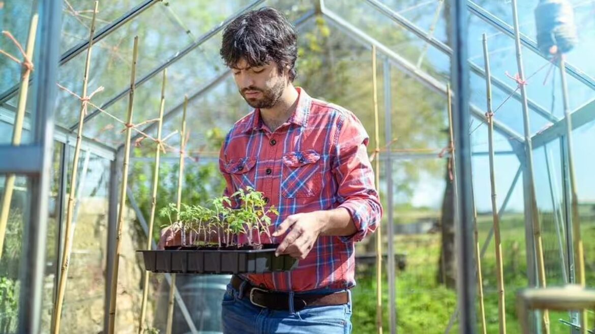 Three easy ways to cut back on gardening costs this Spring Stoke-on-Trent Live