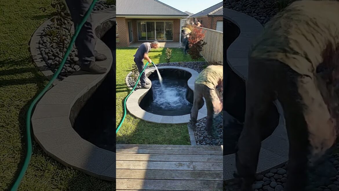 Backyard Koi Pond Installation Time-Lapse | Landscaping Transformation Backyard Koi Pond Installation Time-Lapse | Landscaping Transformation