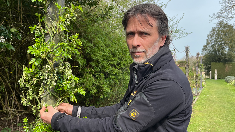 Alan Power stands next to a wooden pole with roses climbing up it. Some of them have withered and died away. Power has grey hair and is wearing a black jacket.
