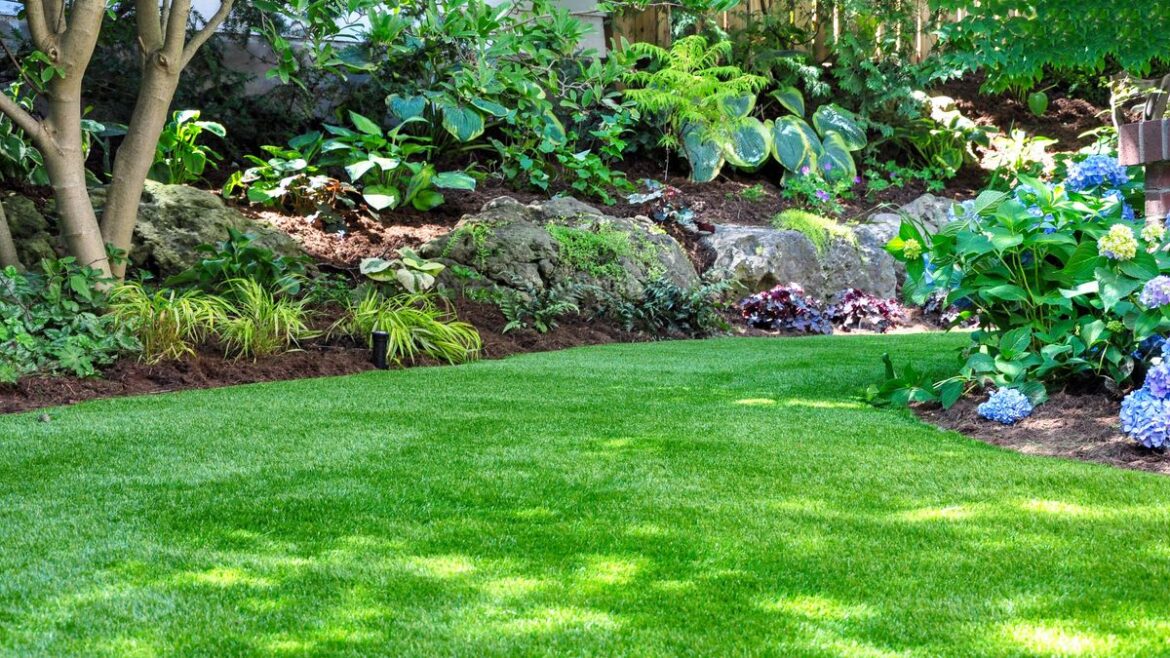 All gardeners must do 1 lawn job in April for luscious summer grass Devon Live