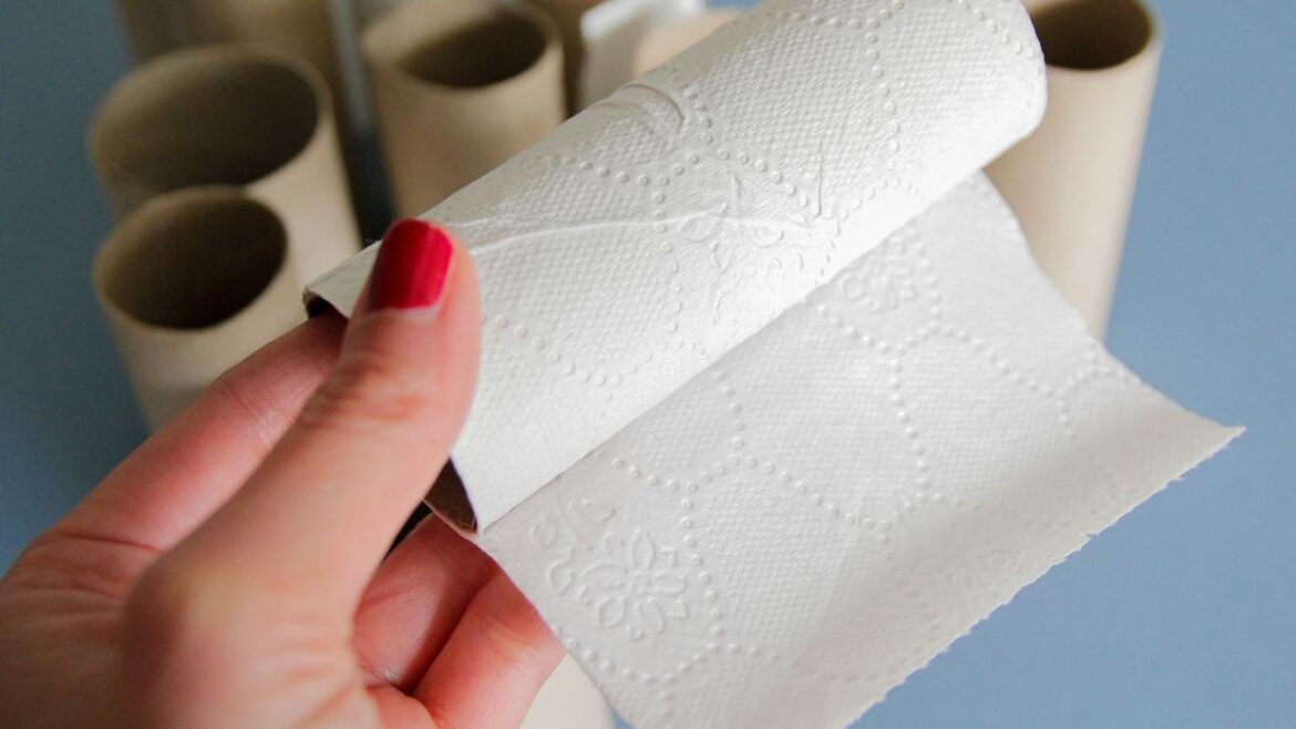 Households asked to think twice before binning toilet loo rolls in spring Daily Mirror