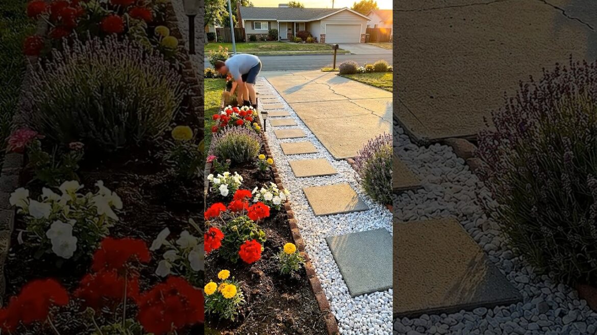 The Neighbors Were JEALOUS of This Driveway Makeover 🌺 The Neighbors Were JEALOUS of This Driveway Makeover 🌺