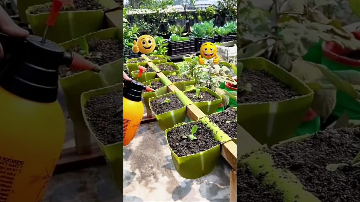 Small Space? Grow a Full Garden Like This! 🌱🤯 #farming #gardening #tips