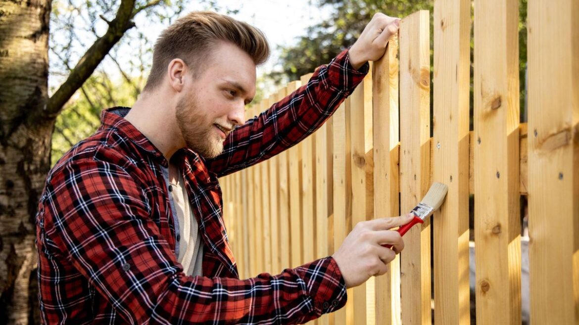 What the law says about painting a neighbour’s fence that faces your garden Daily Mirror