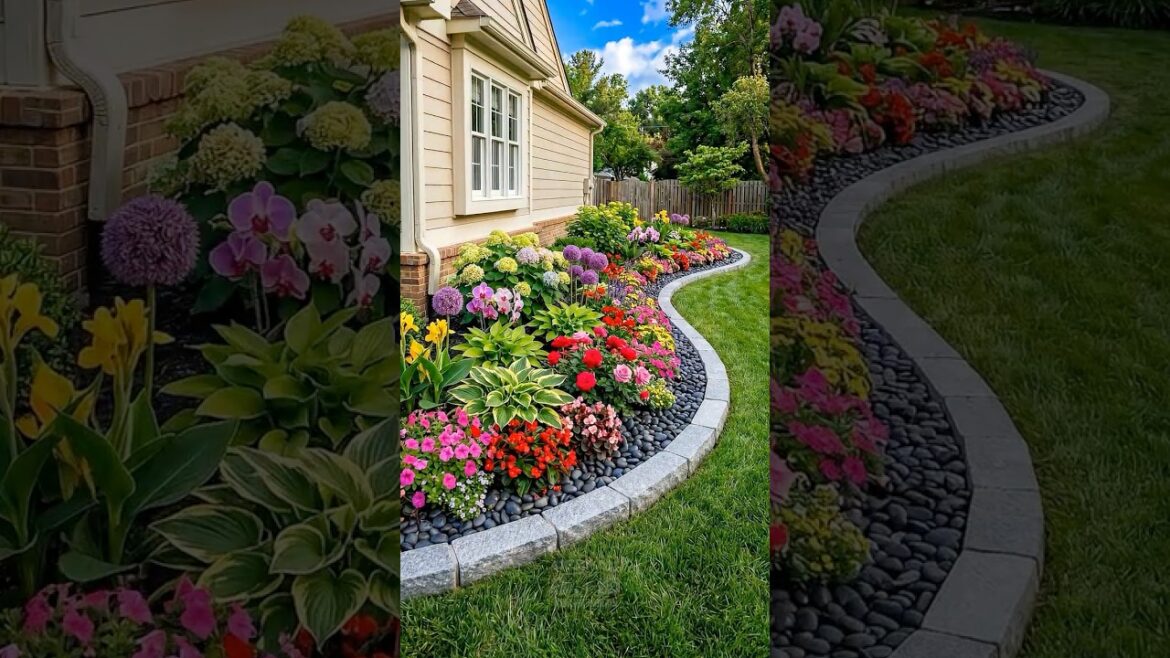Plain Side Yard Transformed Into a Stunning Foundation Garden 🌸✨ #shorts Plain Side Yard Transformed Into a Stunning Foundation Garden 🌸✨ #shorts