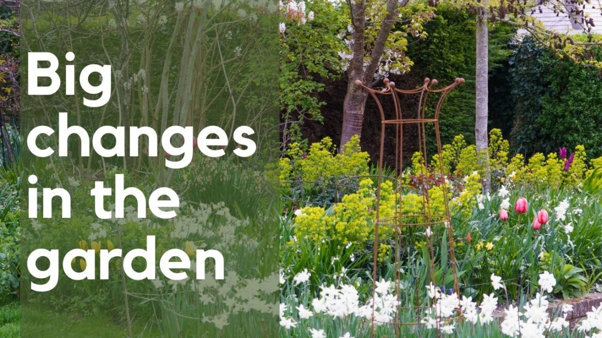 What I’ve changed in my garden (and what went wrong) – spring garden tour What I've changed in my garden (and what went wrong) - spring garden tour