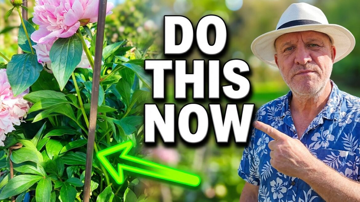 10 Essential April Gardening Jobs You Can’t Afford to Skip 10 Essential April Gardening Jobs You Can't Afford to Skip