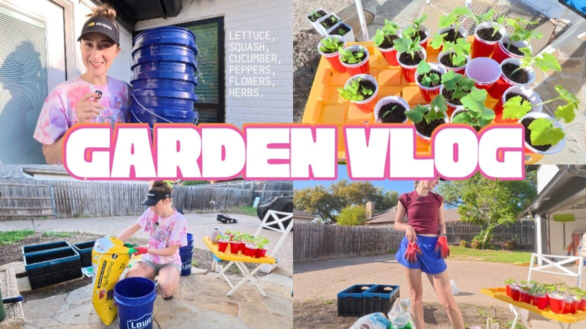 Starting My Backyard Container Garden! | growing lettuce, squash, cucumbers and more! Starting My Backyard Container Garden! | growing lettuce, squash, cucumbers and more!