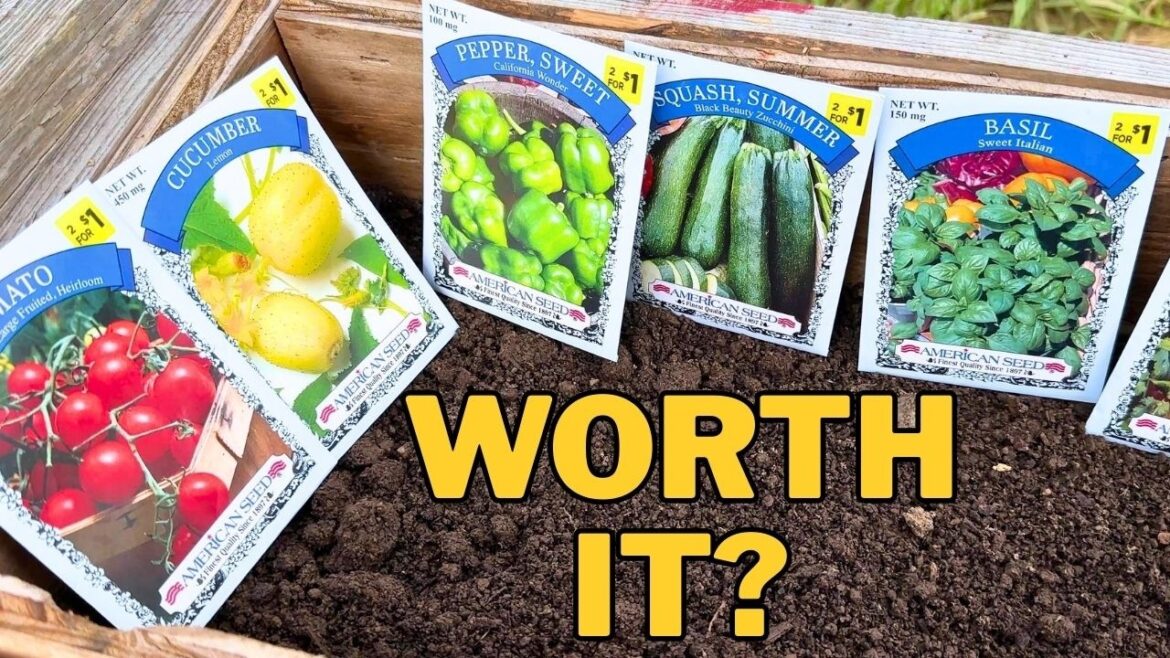 I grew a dollar store vegetable garden with 50¢ seeds😲 budget gardening I grew a dollar store vegetable garden with 50¢ seeds😲 budget gardening