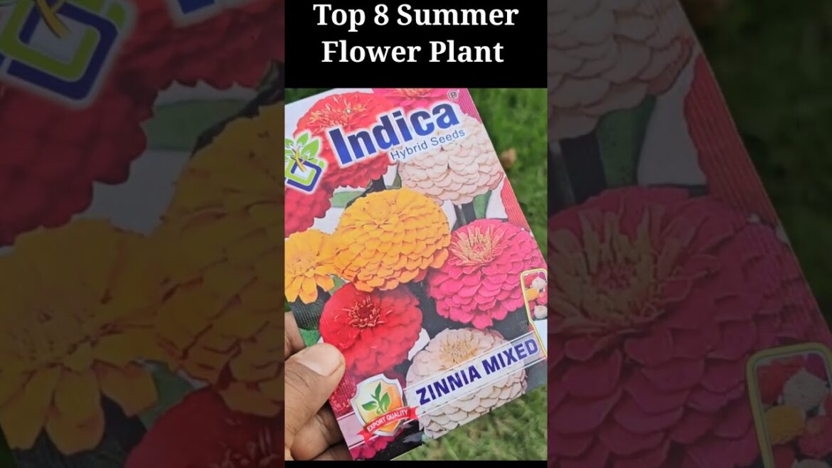 Top 8 Summer Flower Plants 🌸 | Summer Gardening Tips 2026