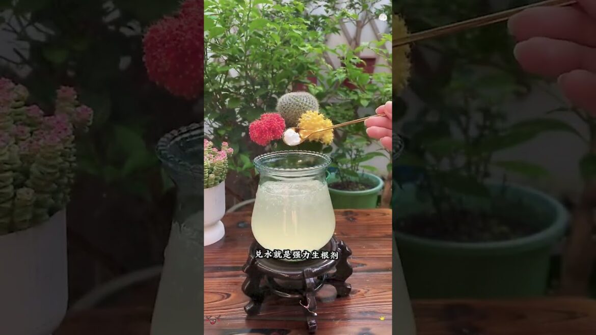 养花小知识 #百科密码 #科普 #知识渊博 #知识