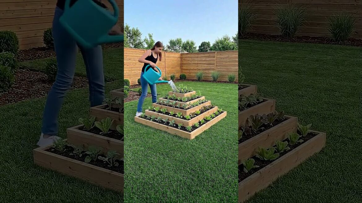 I Turned My Backyard Into a Tiered Vegetable Garden #homesteading #garden #vegetables #diy I Turned My Backyard Into a Tiered Vegetable Garden #homesteading #garden #vegetables #diy