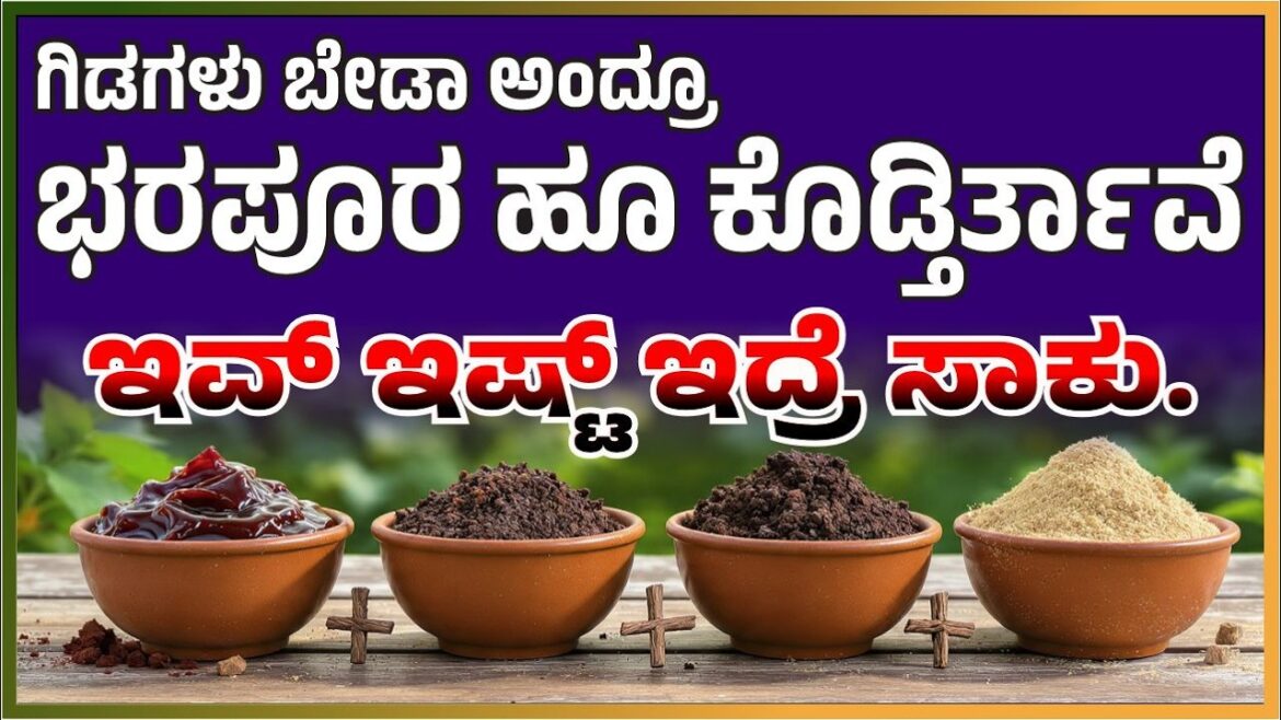ಇವ್ ಇಷ್ಟ್‌ ಇದ್ರೆ ಸಾಕು.‌ಗಿಡಗಳು ಬೇಡಾ ಅಂದ್ರೂ ಭರಪೂರ ಹೂ ಕೊಡ್ತಿರ್ತಾವೆ #marysmanegarden  #organic #gardener
