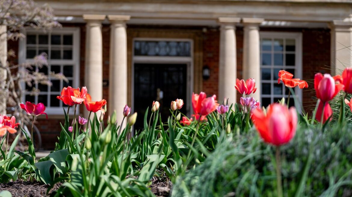 Stunning tulip garden at leading private school opens for rare few days Surrey Live