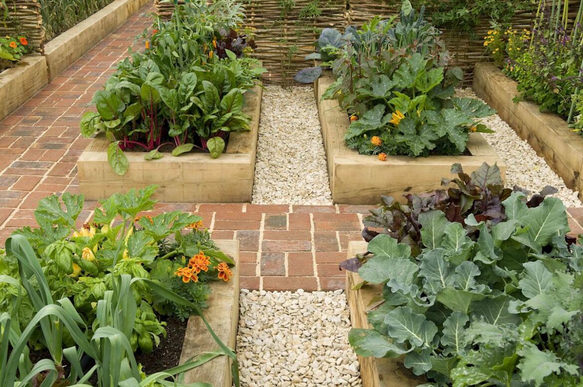 15 Plants That Thrive In Raised Garden Beds Southern Living