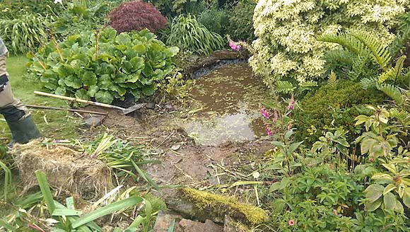 Replanting the wildlife pond in Paddy's garden