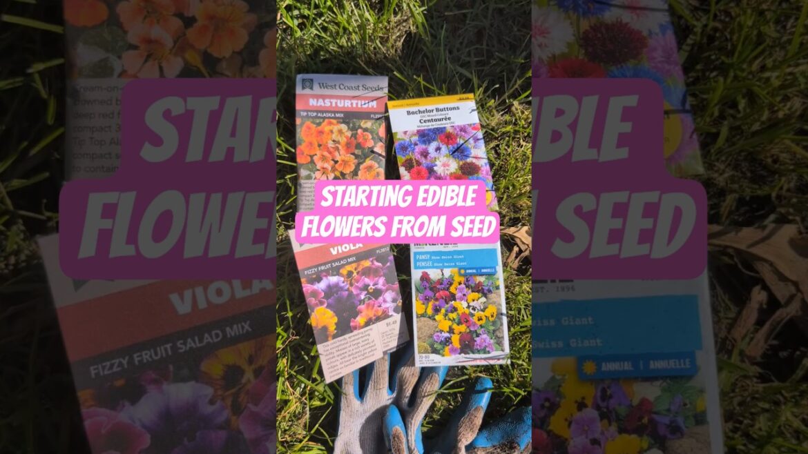 Starting Edible Flowers from Seed Starting Edible Flowers from Seed