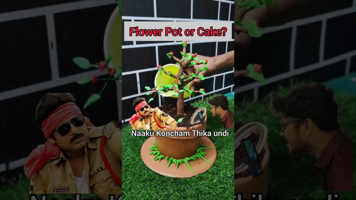 Flower Pot or Cake?