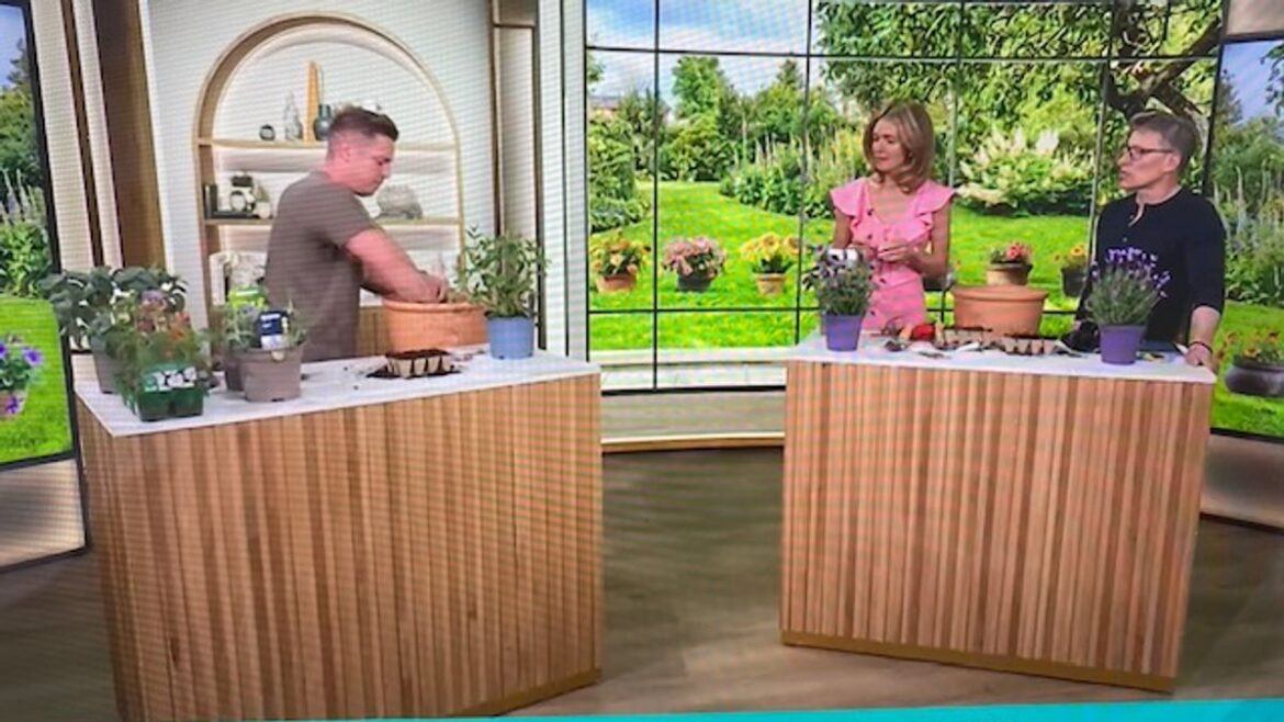 ITV’s This Morning Ben Shephard praises Nuneaton’s ‘fun’ viral firefighting gardener Coventry Live
