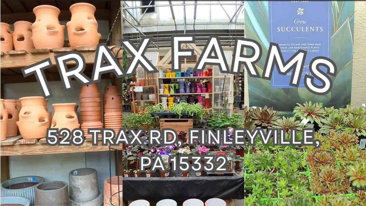 TRAX FARMS 2026!  MASSIVE selection of plants & gardening supplies for all seasons! WORTH A VISIT?