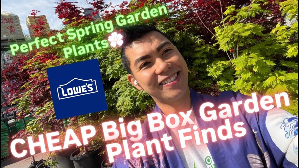STOP OVERPAYING FOR PLANTS! ππ± Massive Lowe’s Plant Haul & Spring 2026 Garden Center Cheap Plants! STOP OVERPAYING FOR PLANTS! ππ± Massive Lowe's Plant Haul & Spring 2026 Garden Center Cheap Plants!