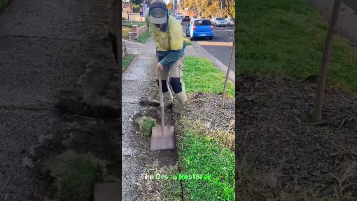 Cleaning | Pressure Washing | Trimming | Edging | Cutting | Raking #shorts #satisfying #gardening Cleaning | Pressure Washing | Trimming | Edging | Cutting | Raking #shorts #satisfying #gardening