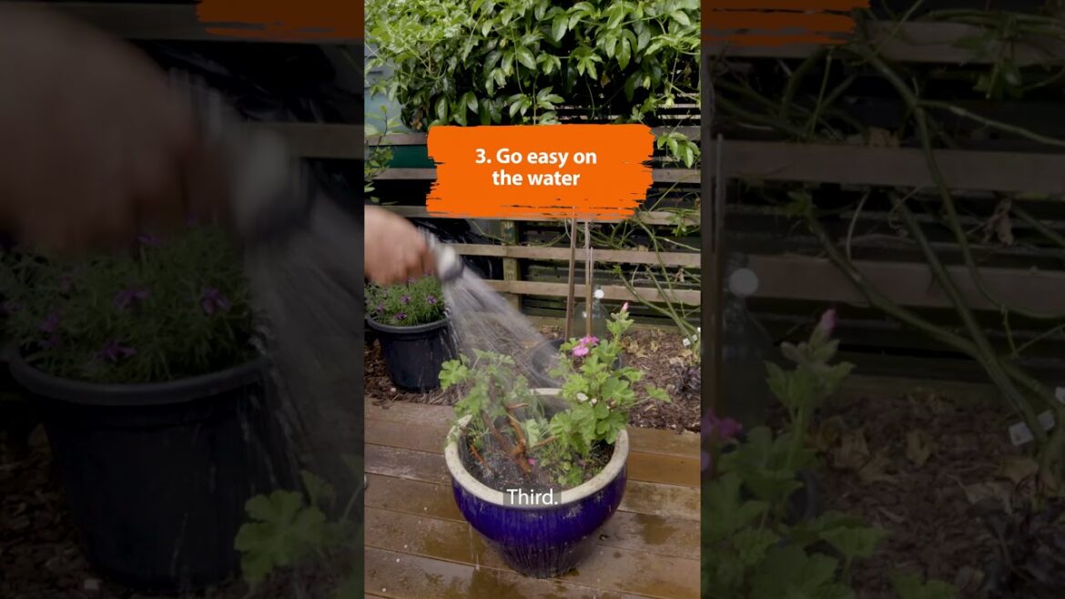 Top 5 Tips to Keep Your Autumn Garden Thriving | Mitre 10 Super Easy As