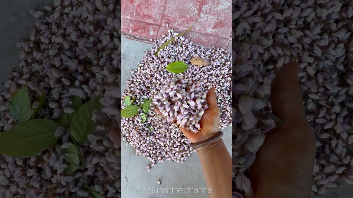 🔥How To Make Compost#gardeningtips#plants#tipsandtricks#garden#plantation