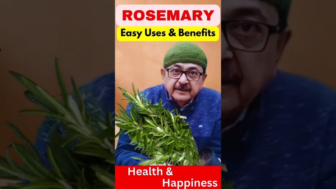 Benefits of Rosemary Herb and How to Use, Unlock the Power of Nature! #kitchengarden #herbalremedies