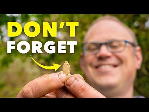 The 5 Seeds You MUST Start in April The 5 Seeds You MUST Start in April