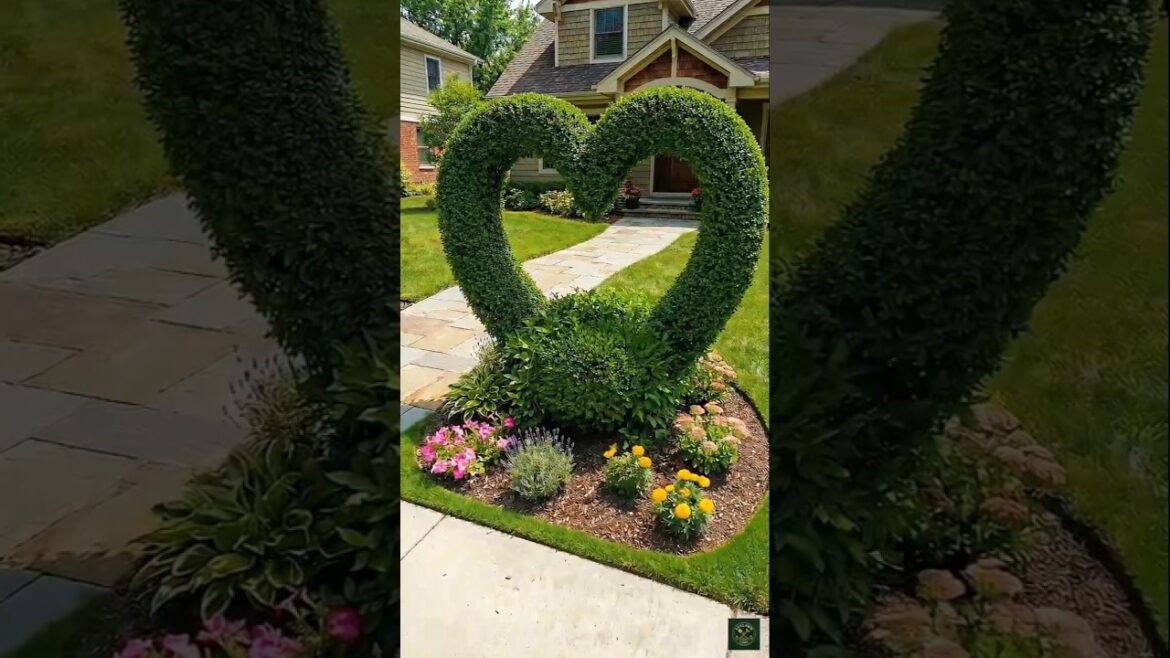 Lawn Transformation ✨ #shorts