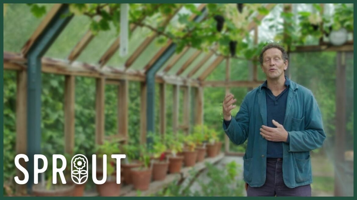 Autumn Garden Tips – Pruning, Planting, and Stunning Fall Colour Autumn Garden Tips - Pruning, Planting, and Stunning Fall Colour