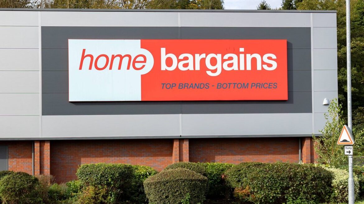 ‘Gardens look stylish’ with £20 Home Bargains flowers that ‘bloom all year round’ Liverpool Echo