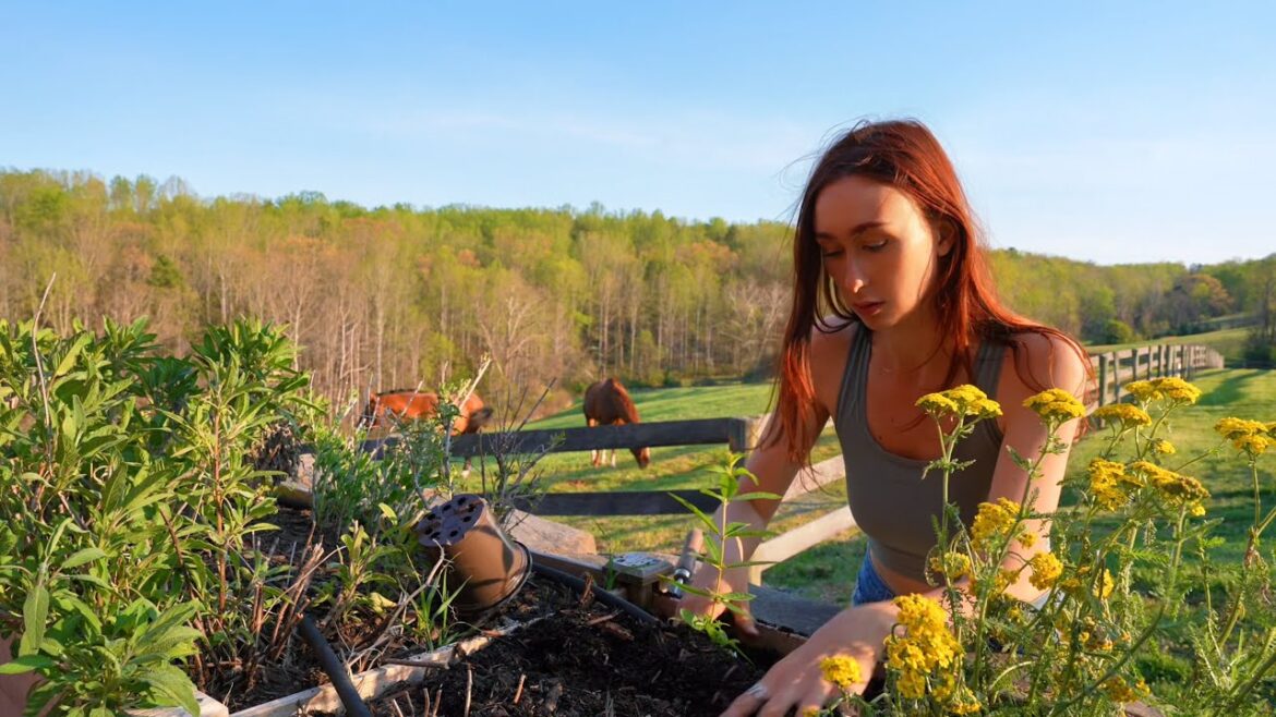 Spring vlog in my apothecary garden | Herb shopping, planting & making tinctures🌱