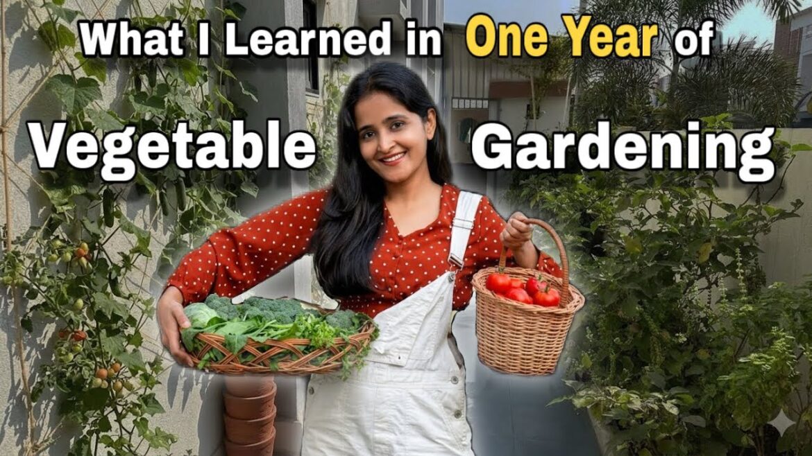 My Second Year of Vegetable Gardening I Dhara Patel My Second Year of Vegetable Gardening I Dhara Patel