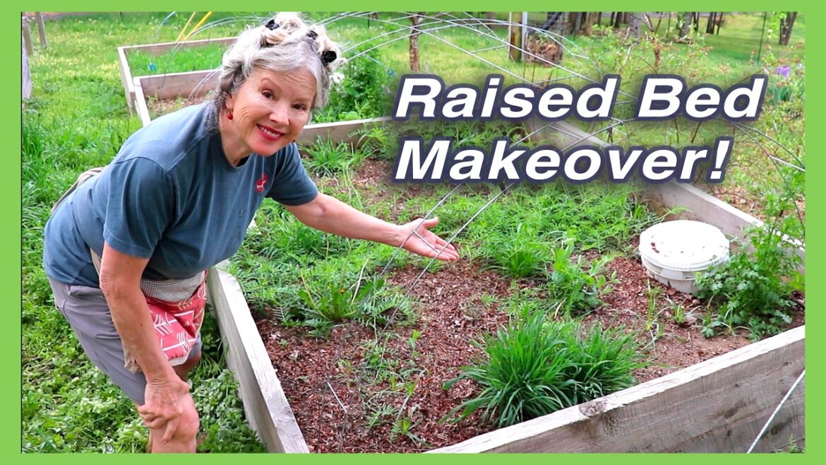 Kaye Kittrell: TRANSFORM & PLANT this Raised Bed in an Hour? TRANSFORM & PLANT this Raised Bed in an Hour?
